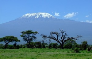 kilimanjaro-1025146__340